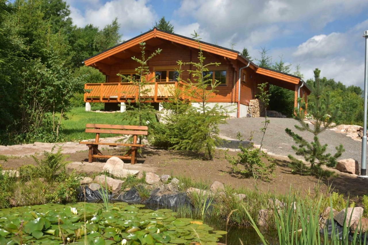 Erzgebirgsholzhaus Am Lugstein Villa Altenberg  Kültér fotó