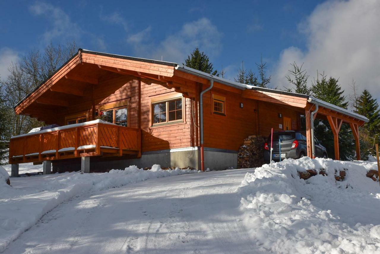 Erzgebirgsholzhaus Am Lugstein Villa Altenberg  Kültér fotó